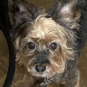 Meet your Posher, Kellie